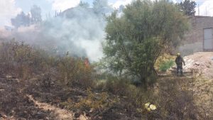 13428638_1703491123251672_102704695690876180_n