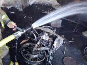 13445763_1703442039923247_1757075358798706458_n