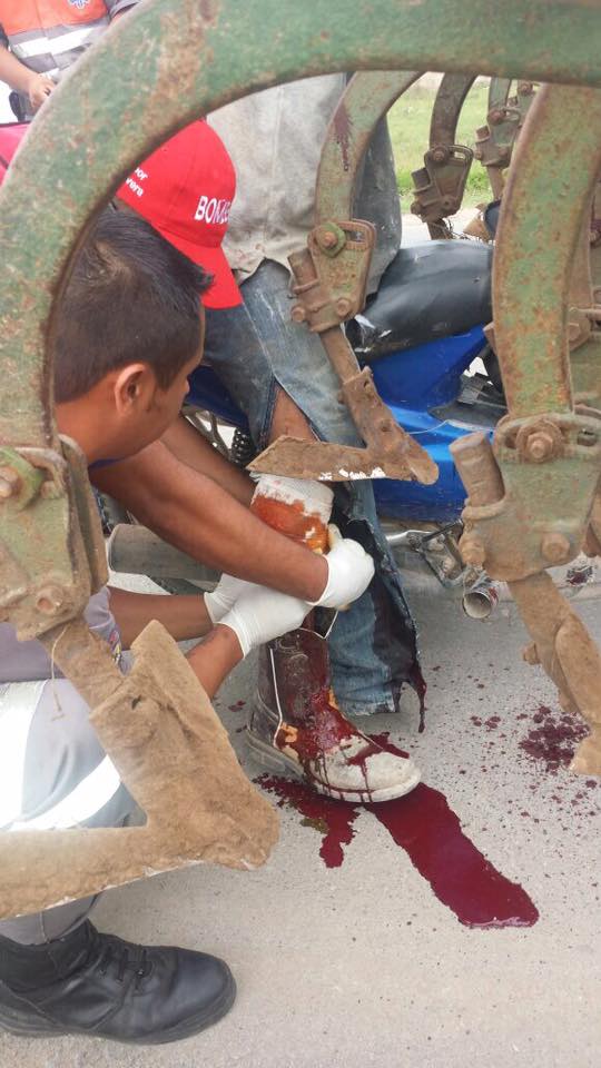 13925416_1727220720878712_9143274462549480740_n