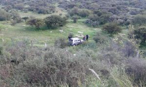 14264055_1737158199884964_2055438505073378753_n