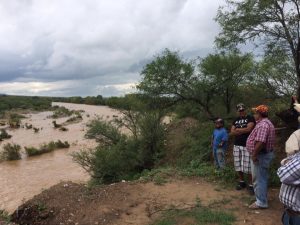 14449760_1746351365632314_1571510412781300674_n