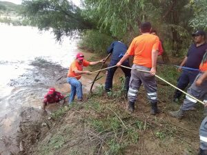 14457406_1747999438800840_6646648923095474086_n