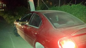 14595559_1750292925238158_7473861210103871981_n