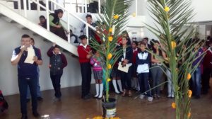 img_20161031_124425091